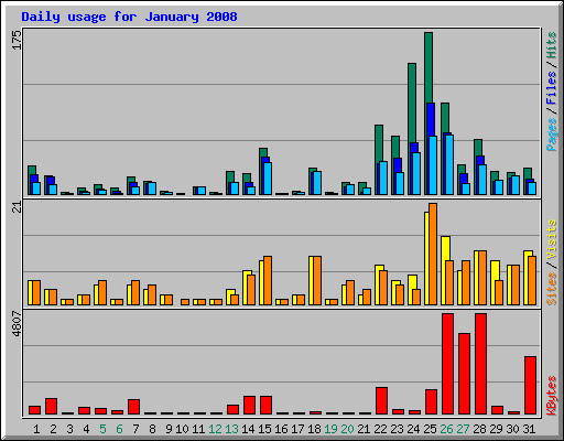 Daily usage for January 2008