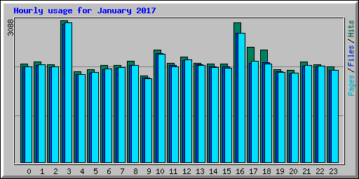 Hourly usage for January 2017