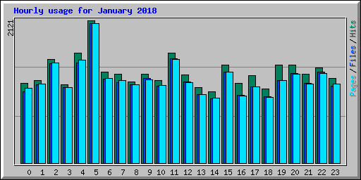 Hourly usage for January 2018